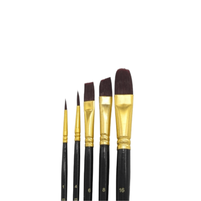 Set 5 pinceles bomejia calidad premium